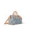 Louis Vuitton Speedy 40 Bandoulière Bag